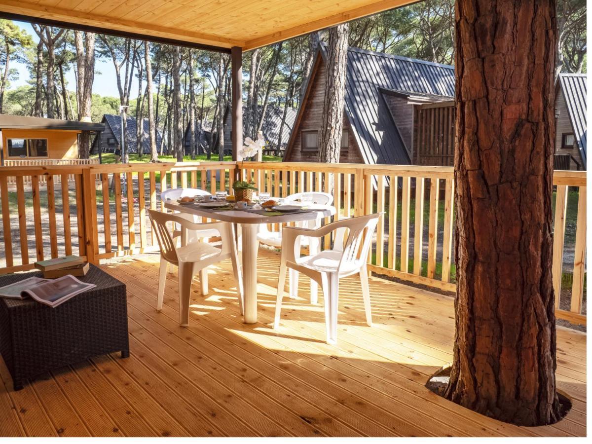 Superior Bungalow - Haustiere erlaubt