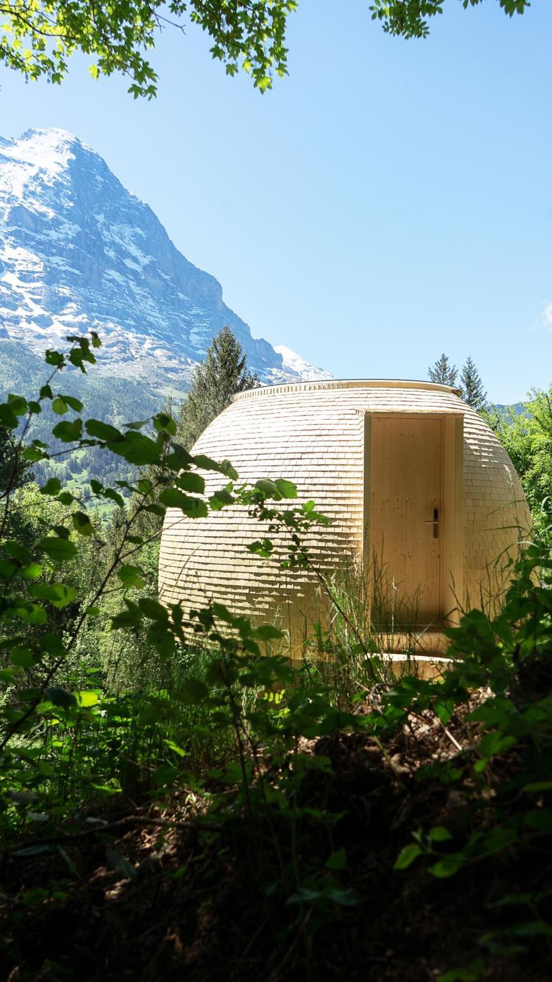 Beehive the middle of nature,1592059392:JPEG