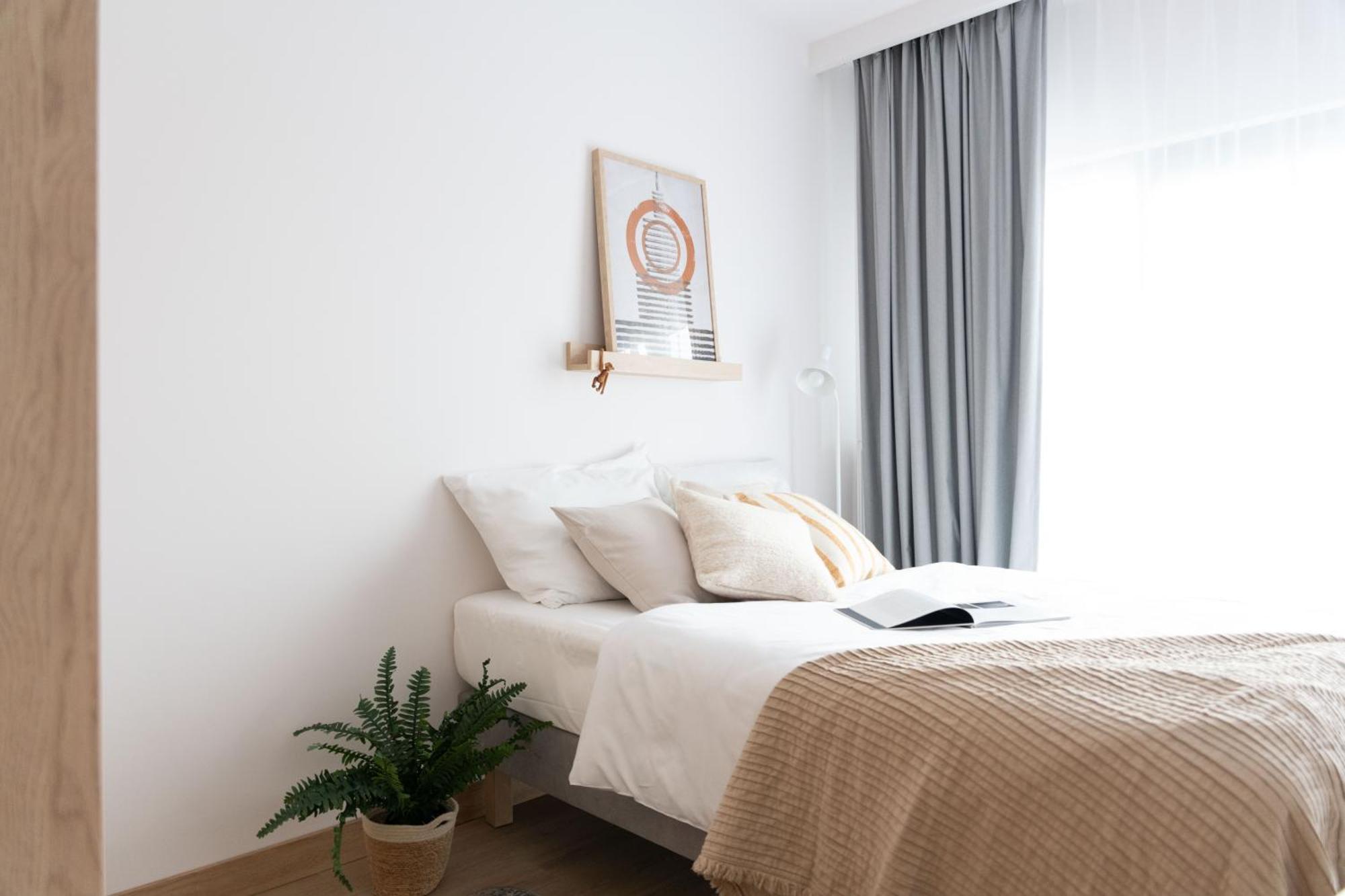 Standard Studio