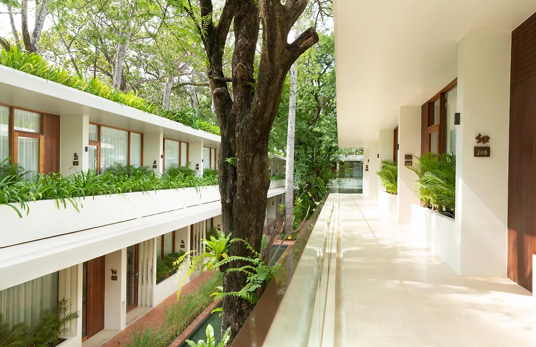 Fcc Angkor By Avani-1