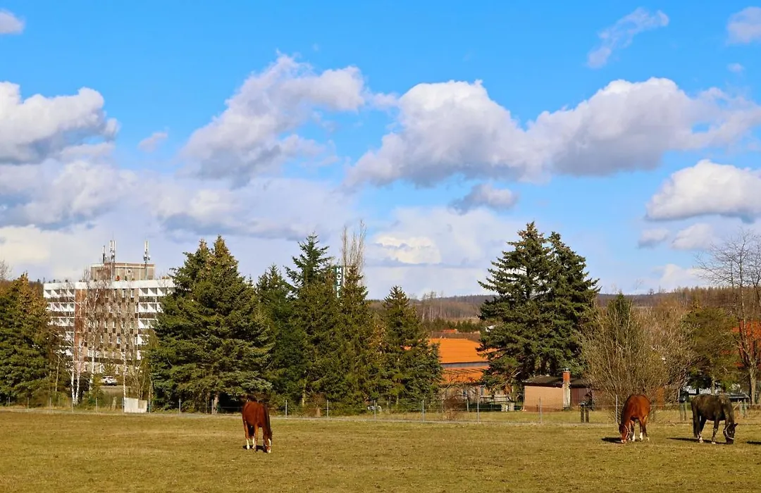 Carea Harz Hotel Allrode-1