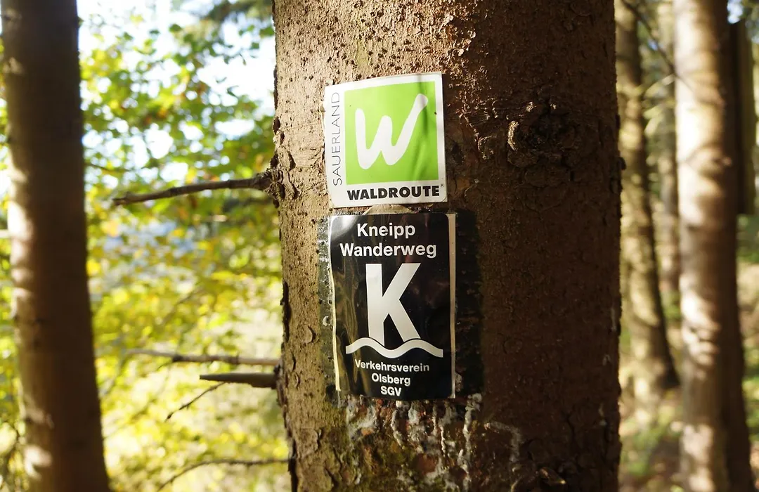 Waldhotel Schinkenwirt-1