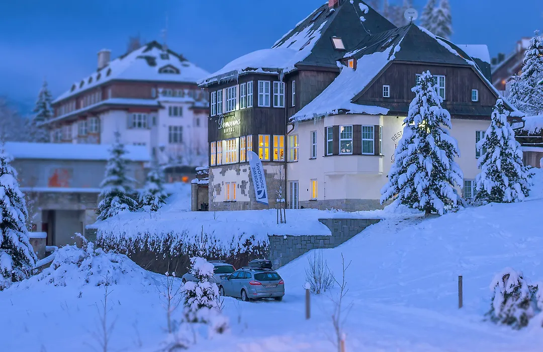 Hotel Domovina-1