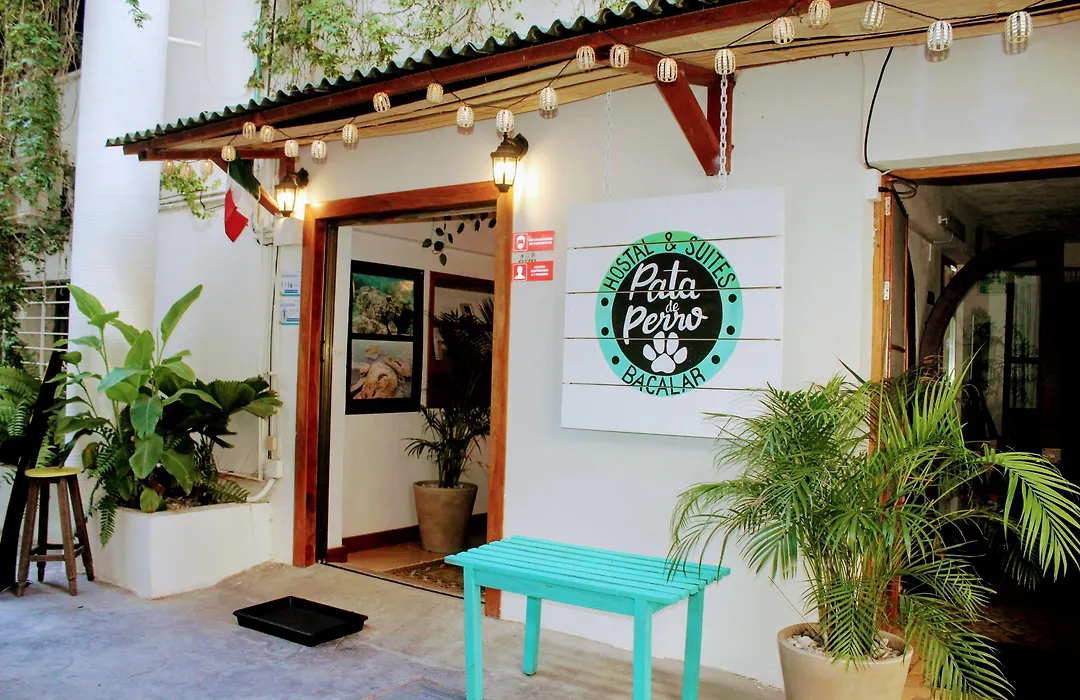 Pata De Perro Bacalar-1