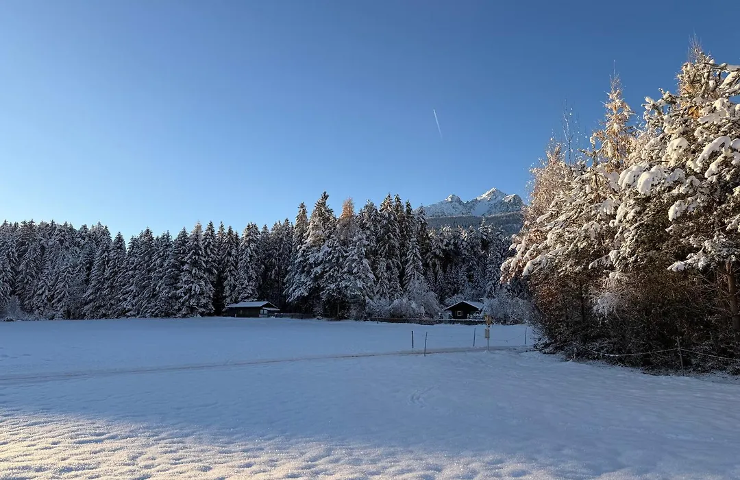 Waldchalet am Eichhof-1