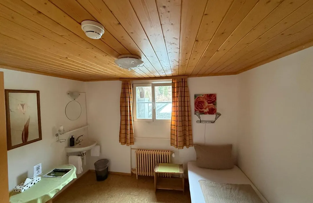 Hotel Steinbock-1