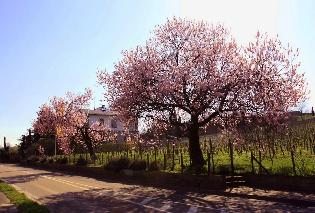 Kurpark-Residenz Deidesheim-1