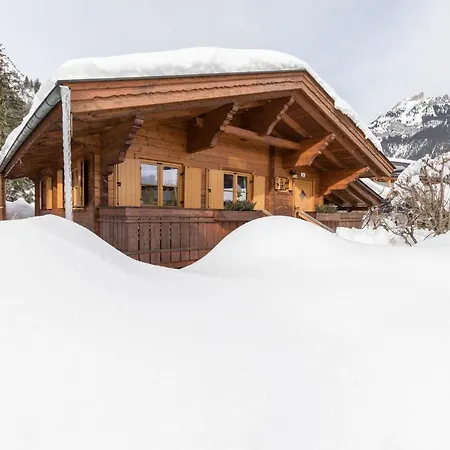 Alpen-Chalets Achensee-3