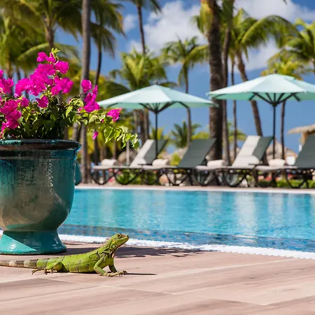 Manchebo Beach Resort&Spa-3