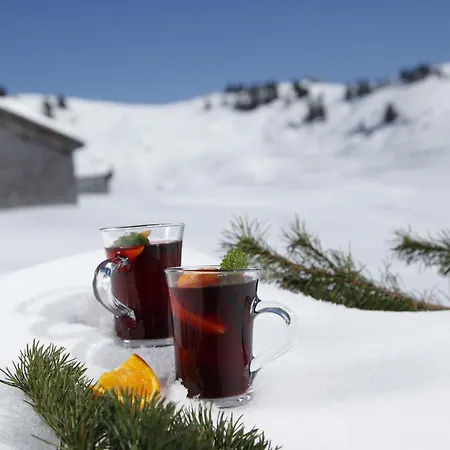 Das alpine Lifestyle Berghotel Madlener-3