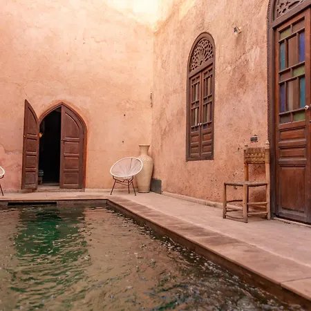 Riad Ben Youssef-2