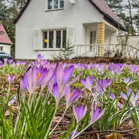 Ferienhaus am weißen Adler-2