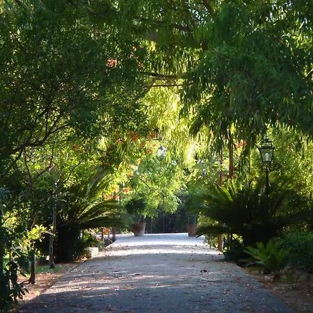 Finca Cas Sant-3