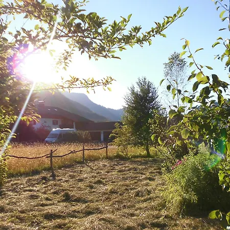 Holzhaus Besler-2