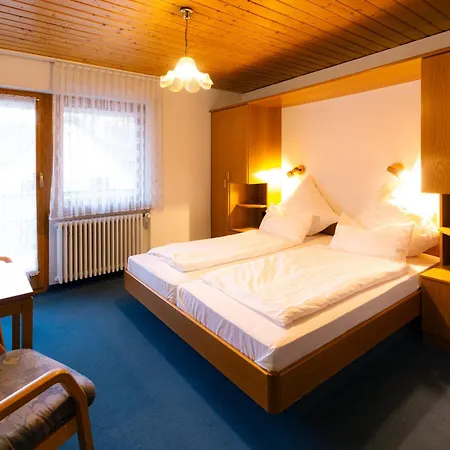 Schwarzwald Hotel-2