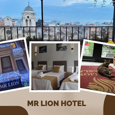 Mr Lion Kumkapi Otel-3