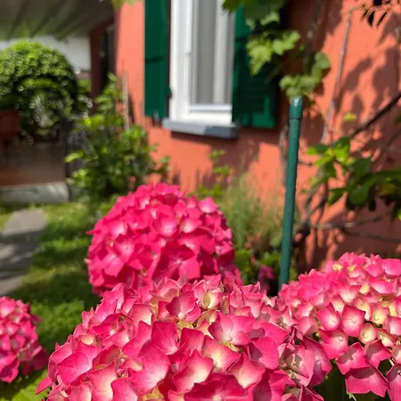 Hotel Garni Dei Fiori-3