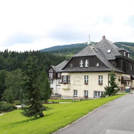 Hotel Domovina-2