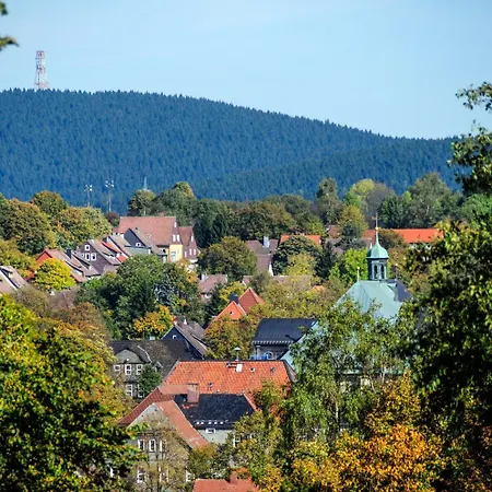 Hotel Zum Harzer-2