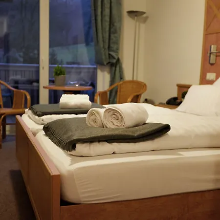 Hotel Zur Burg Sternberg-2