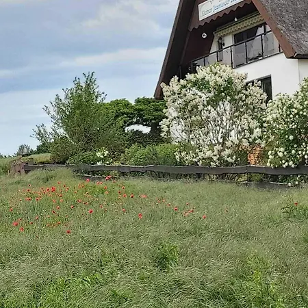 Pension Petersen-2