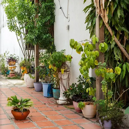 Mango Biche - House-3