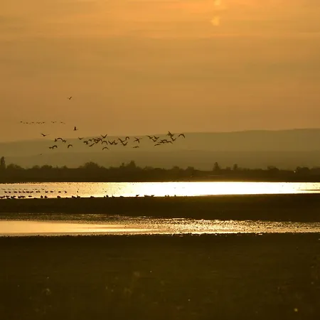 Pannonia Tower-2