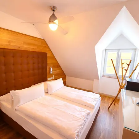 Villa Viktoria 1 - Apartments - City Center-3
