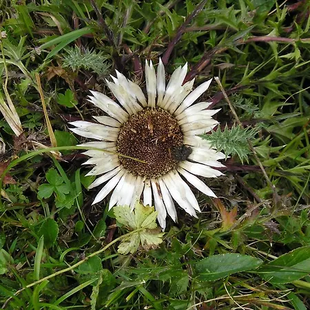 Haus Vorrath-2