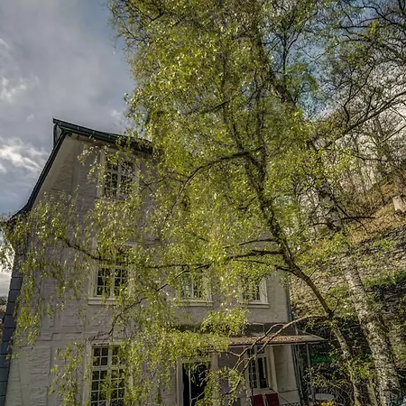 Haus Barkhausen-3