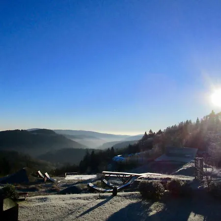 Haus Schneekappe (Winterberg)-3