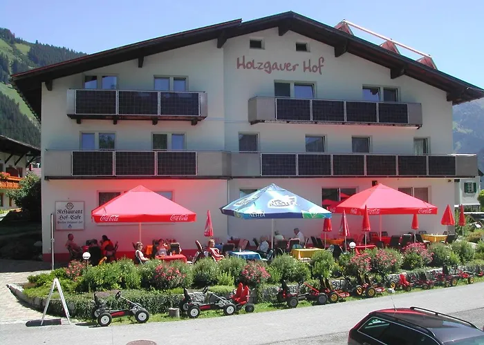  Holzgauerhof