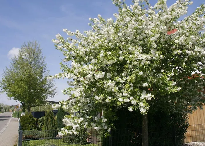 Waldvogel Ferienzimmer klimatisiert