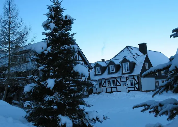 Schwarzenauer Mühle Romantik Hotel