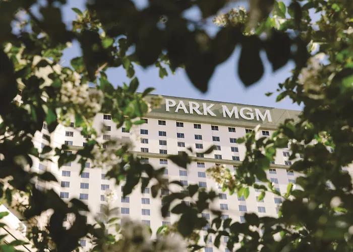 Hotel: Park Mgm Las Vegas