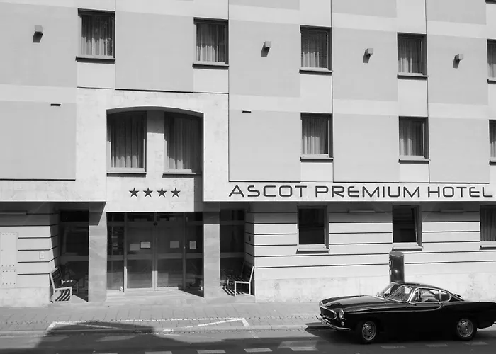  Ascot Premium