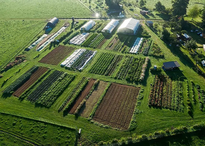 LindenGut Biohotel