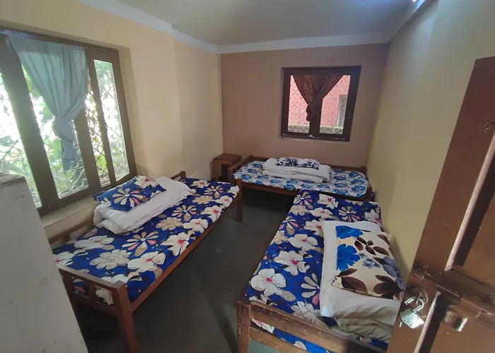 Happy Donkey hostel
