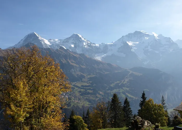 Bel-Air Eden