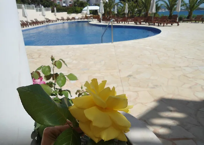 Boutique-Hotel: Grand Hotel Palladium Santa Eulalia Del Rio