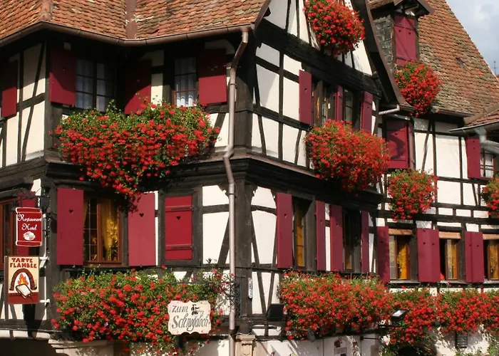 Kinderhotel Restaurant Zum Schnogaloch