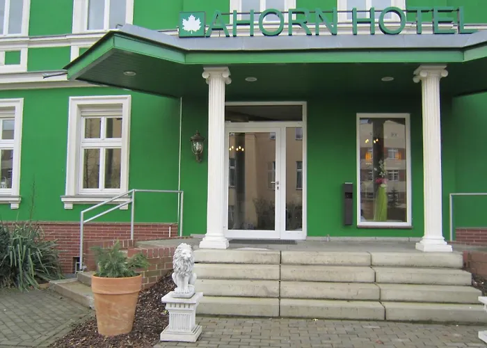 Ahorn