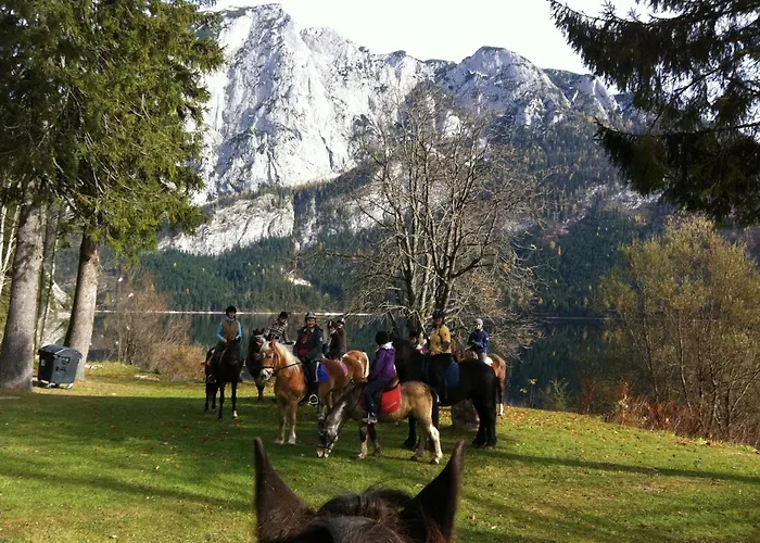 Reitbauernhof Schartner