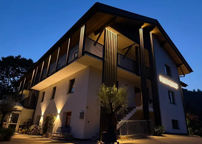 Pension Guide Peintnerhof Appartments&Zimmer