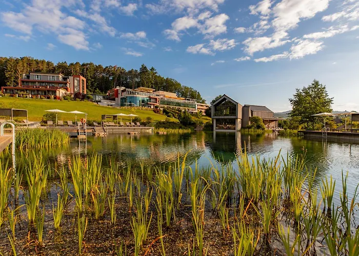 Pfalzblick Wald Spa