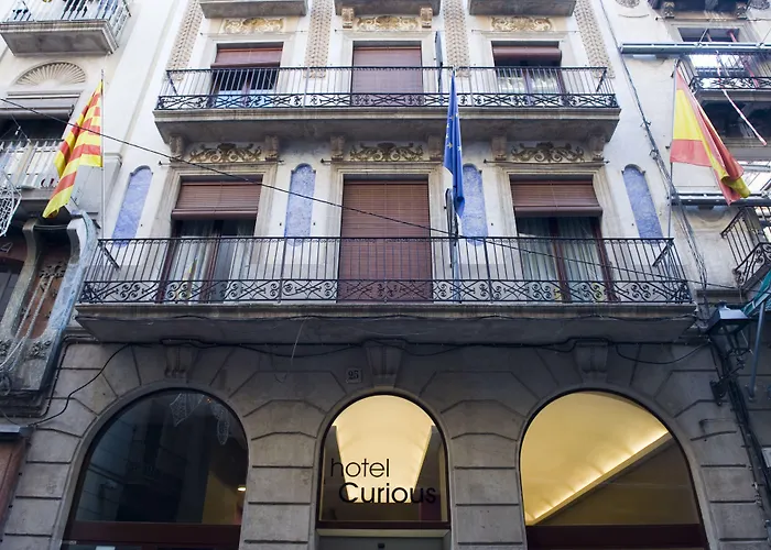 Hotel Curious By Alegria