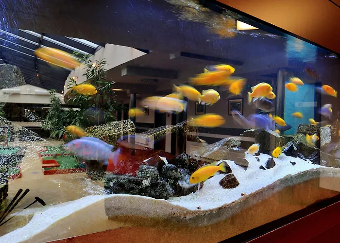 3-Sterne-Hotel: Hotel Diament Spodek