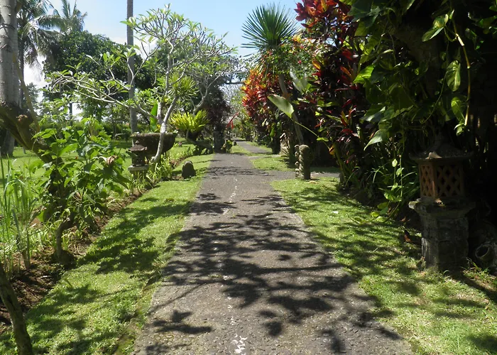 Bumi