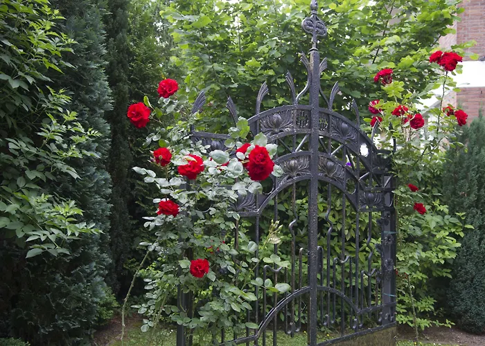 Familienhotels Boutiquehotel Dreesen - Villa Godesberg