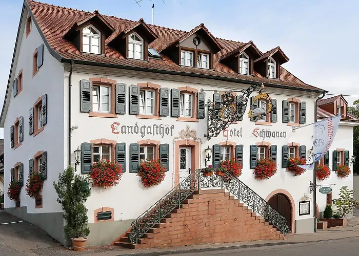 Flair Schwanen